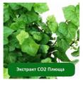 Купить Экстракт СО2 Плюща